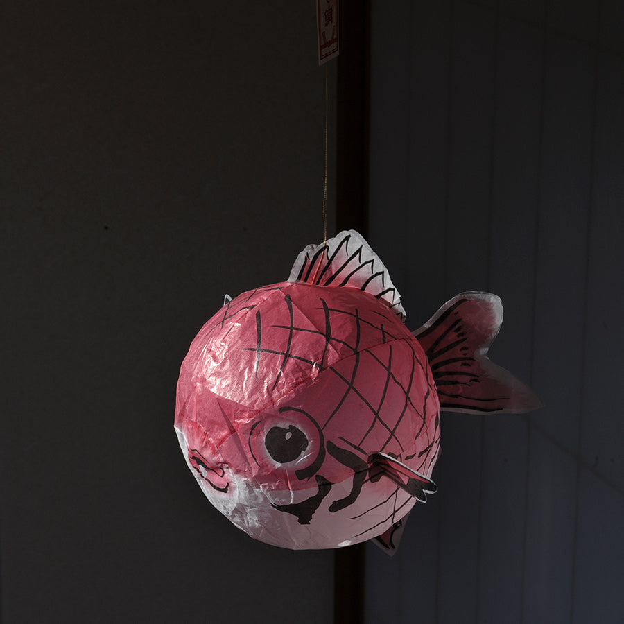 Paper Balloon Sea Bream